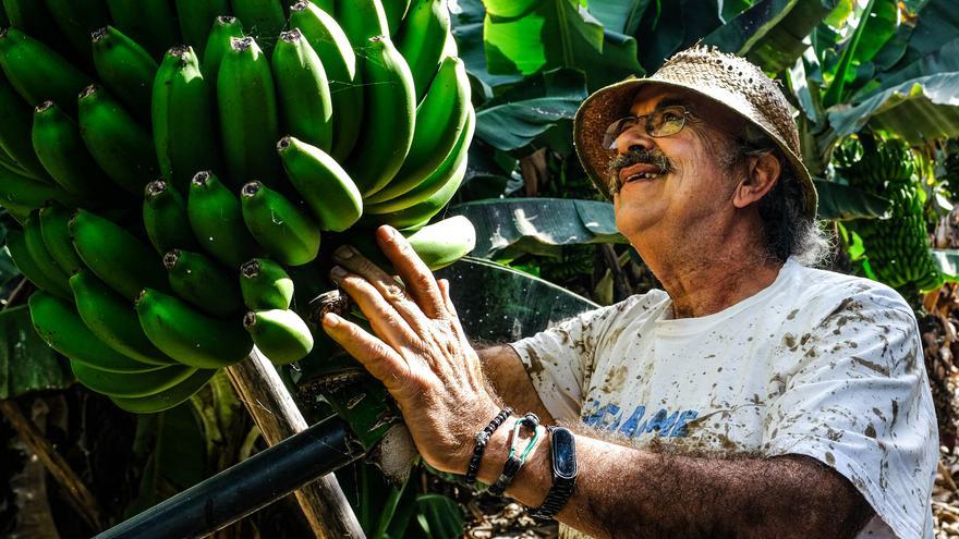 Los agricultores canarios sacarán los tractores a la calle para protestar contra la línea con Tarfaya y los sobrecostes