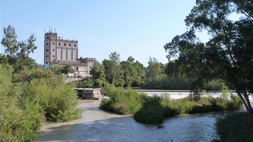 El Ayuntamiento de Palma del Río pide a la CHG la eliminación de una isla de grava en el Genil