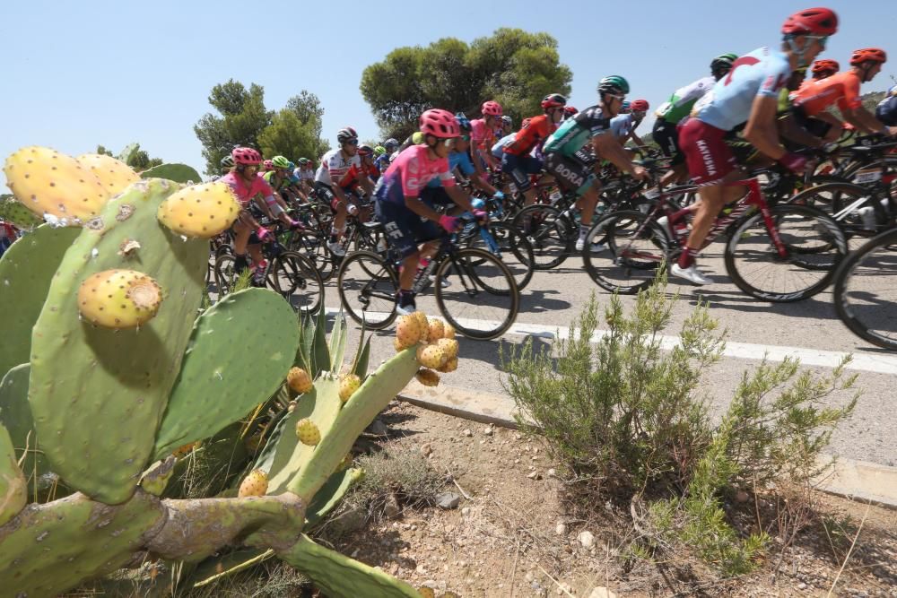 Ángel Madrazo gana la quinta etapa de la Vuelta.