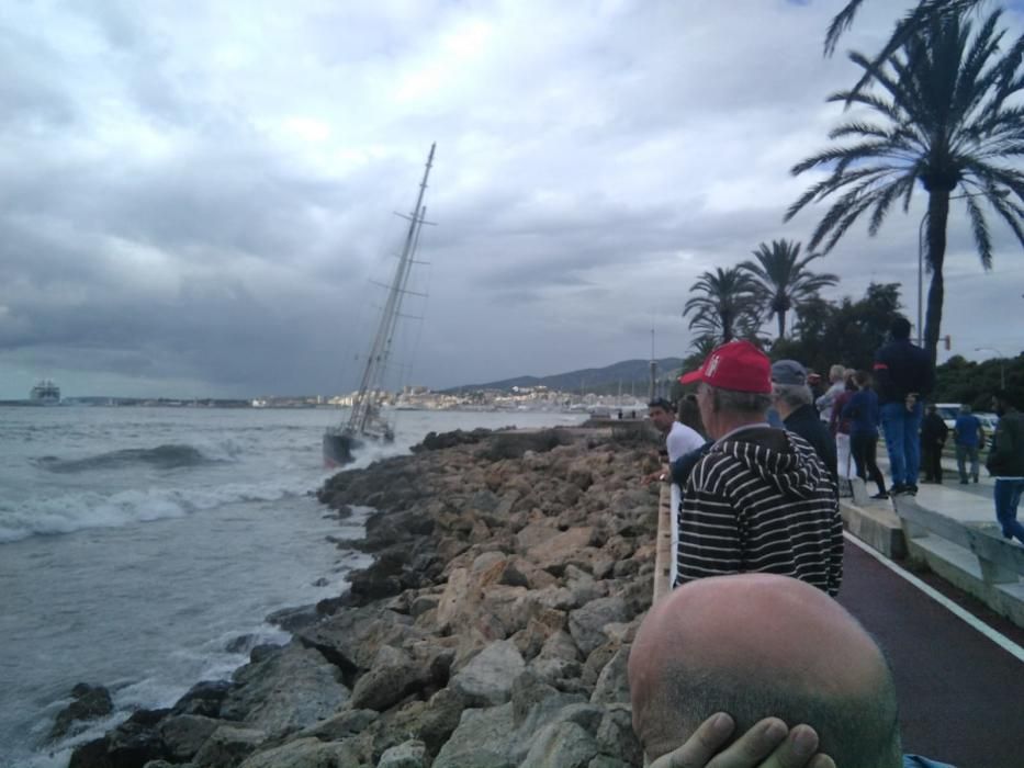 Un velero a la deriva embarranca en Palma