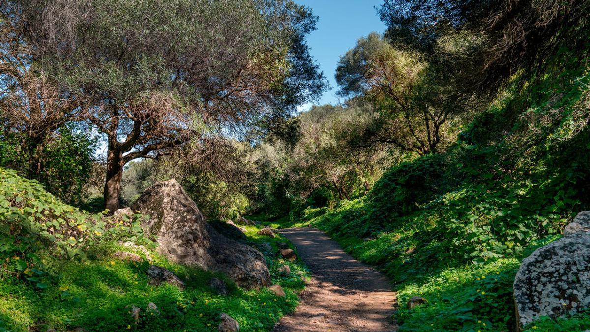 Barranco de Los Cernícalos