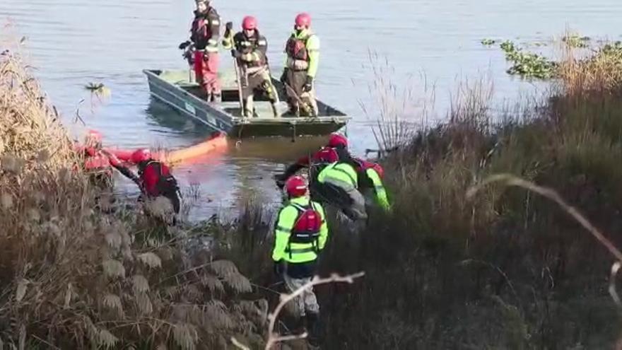 80.000 toneladas de camalote del río Guadiana