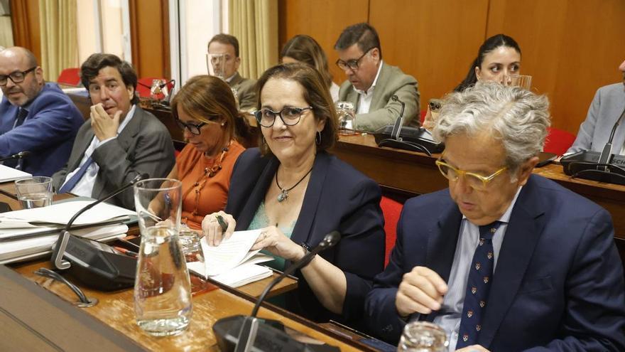 El Pleno de Córdoba aprueba un plan de ajuste para