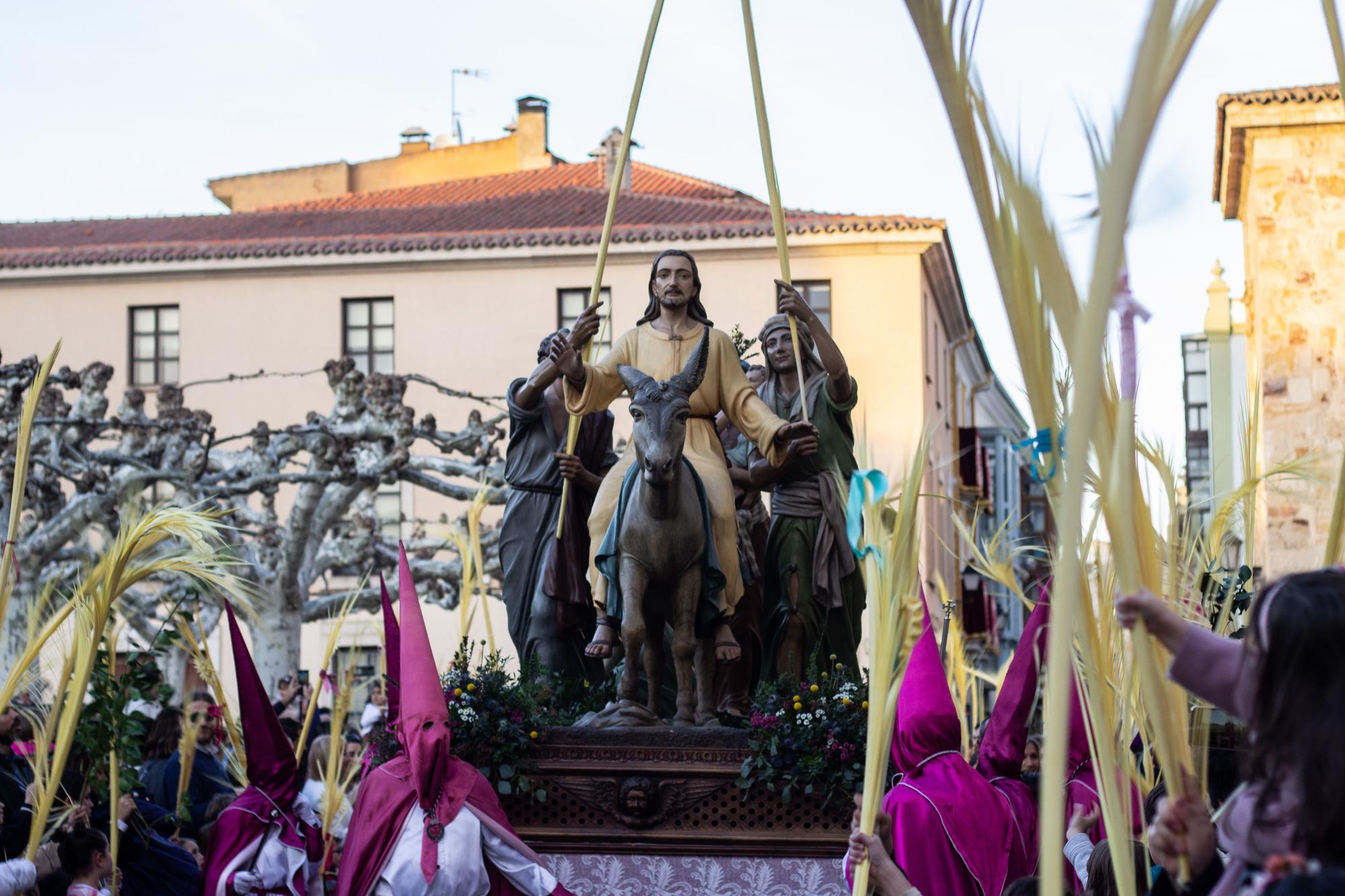 ZAMORA.DOMINGO DE RAMOS