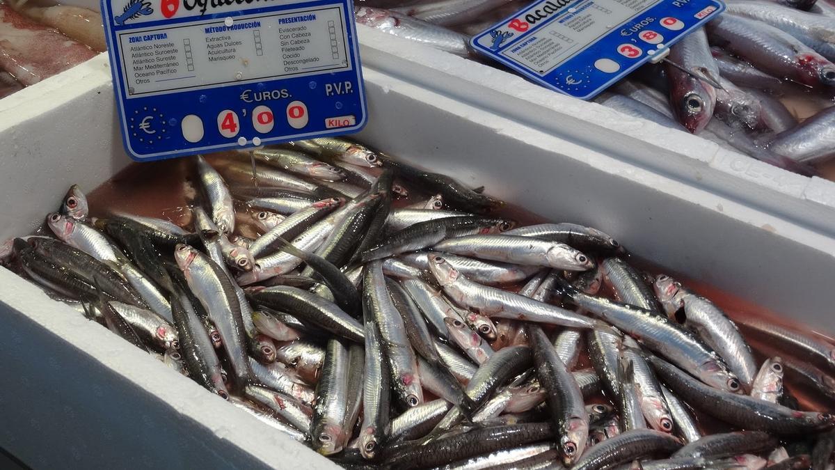 Los boquerones son una fuente importante de proteínas y minerales.