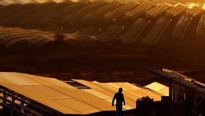 Les autonomies sota la lupa compten amb el 70% de les plantes solars