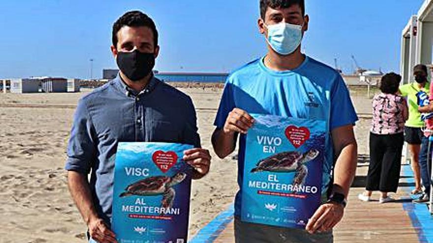 Sagunt contribuye a proteger la tortuga boba | LEVANTE-EMV