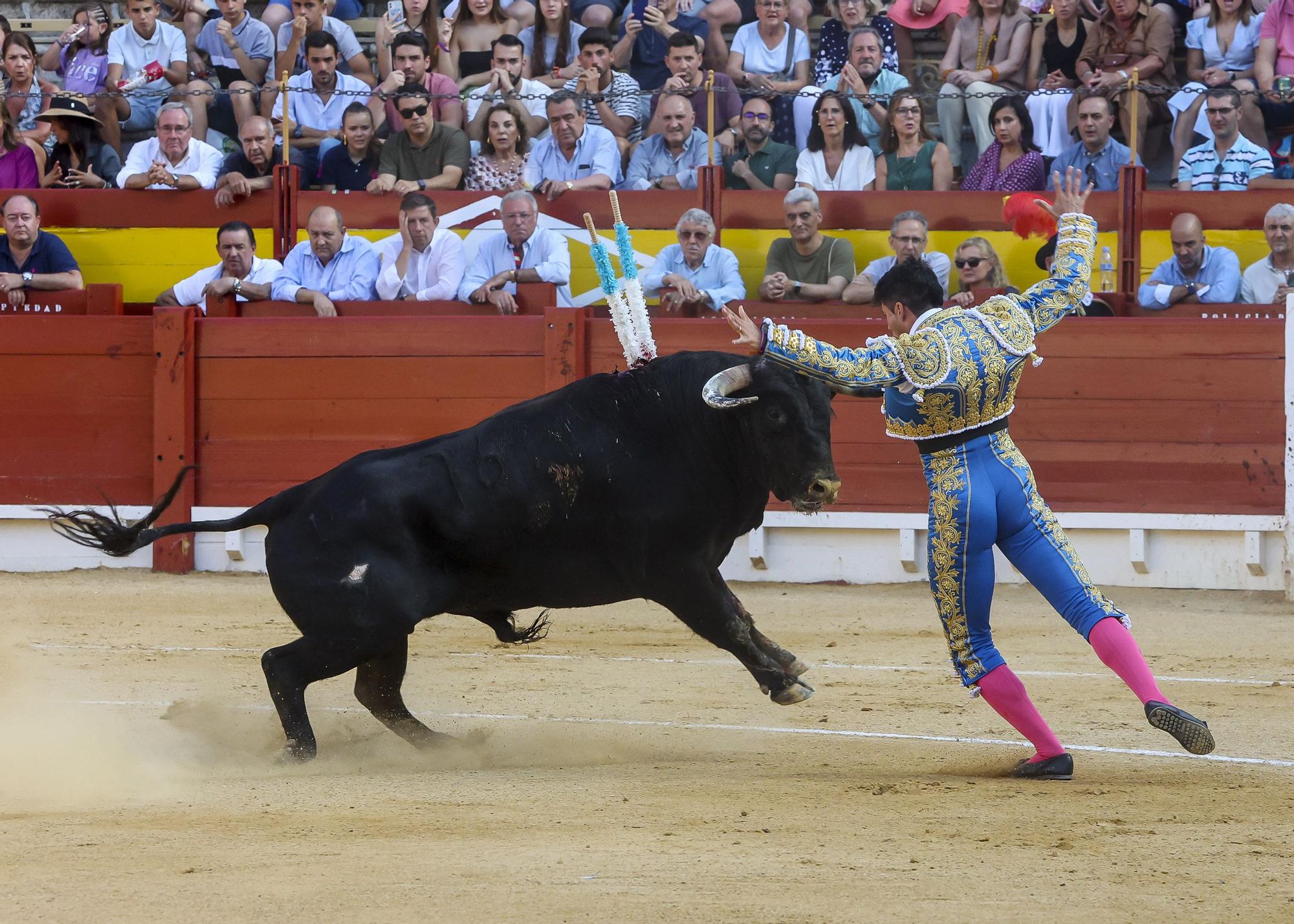 Novillada de Zacarías Moreno para cerrar la Feria de Hogueras