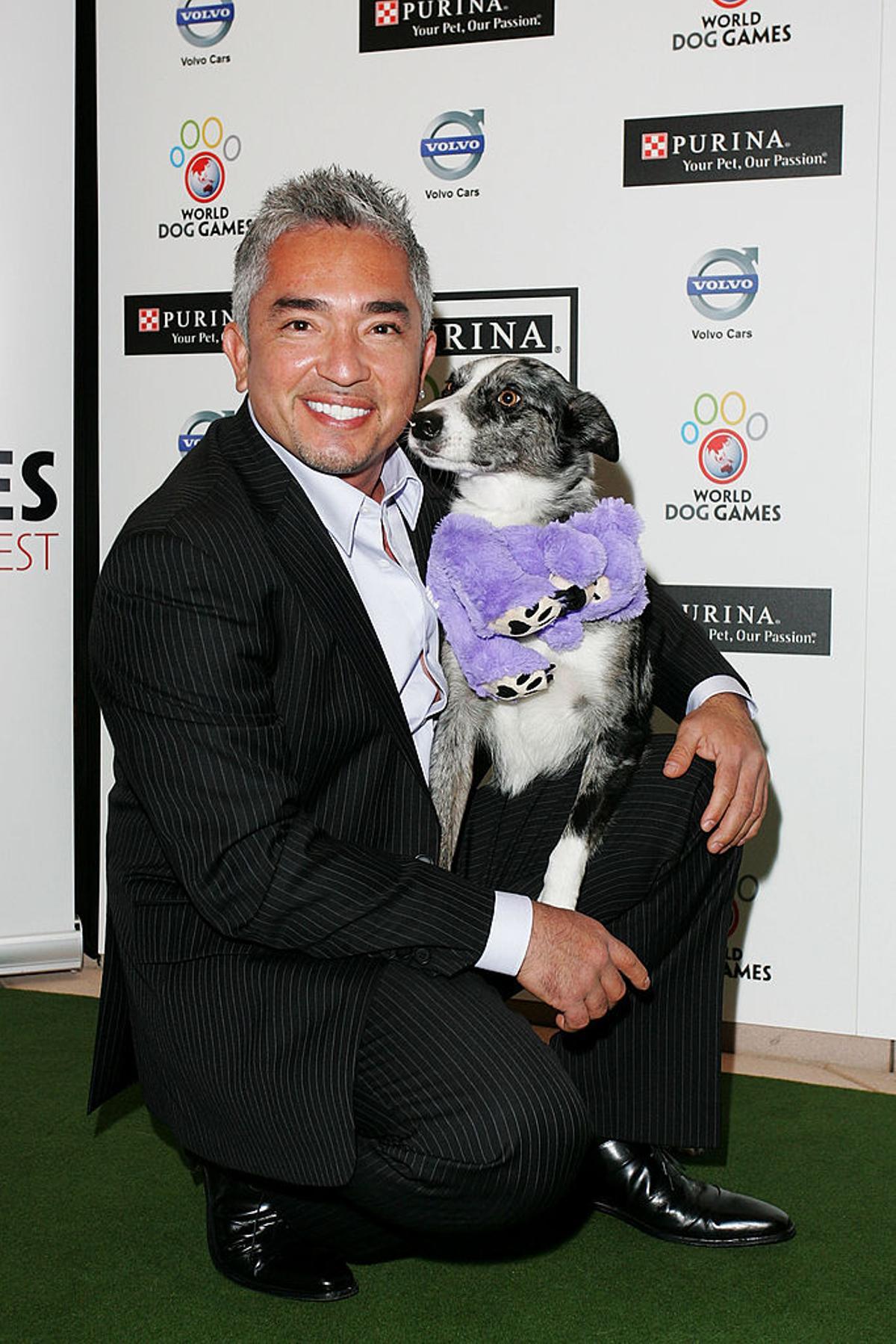 César Millán siempre tuvo una conexión especial con los perros, especialmente con los animales