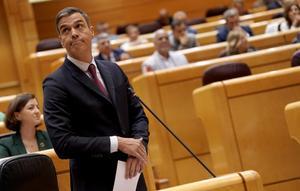 Pedro Sánchez, durante la sesión de control al Gobierno en el Senado.