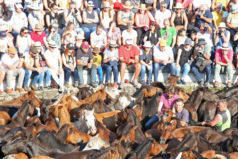 El primer curro de la Rapa das Bestas de Sabucedo // Bernabé / J. Carlos Asorey