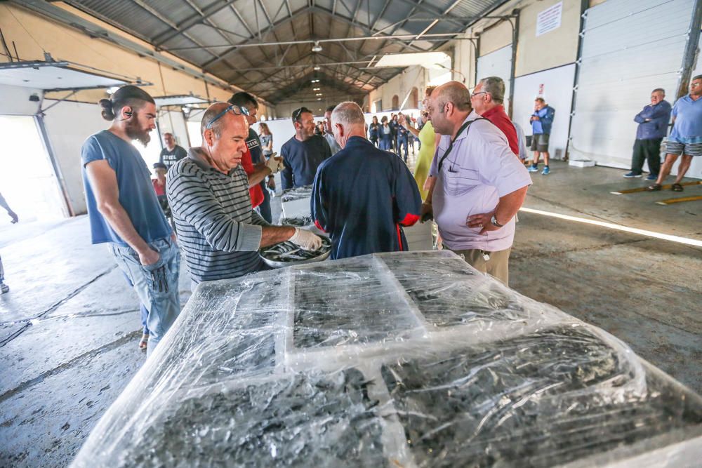 Jornadas Profesionales de Pesca Turismo en Torrevieja