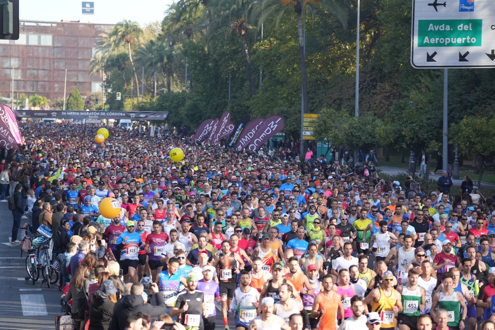 La Media Maratón de Córdoba en imágenes