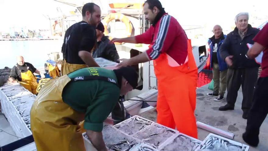 La nueva Lonja del Puerto de Alicante subasta las primeras 767 cajas de pescado