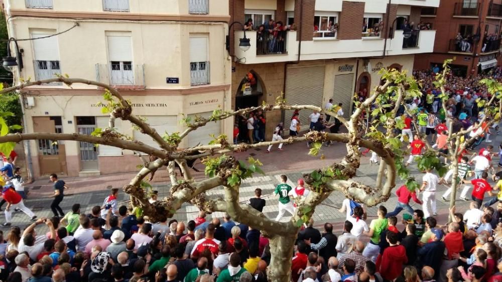 Carrera del Enmaromado 2016