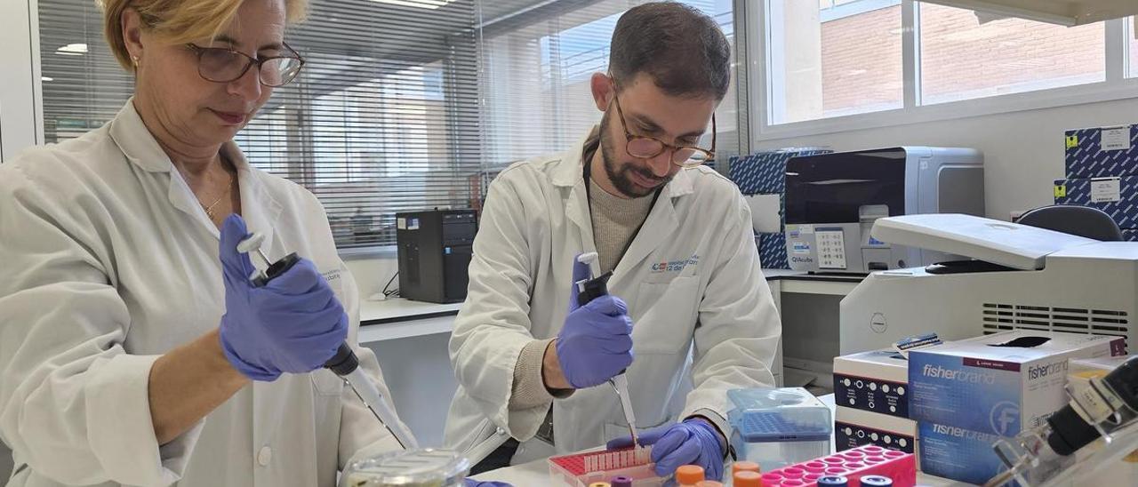Canarias busca investigadores que hallen el significado de la ciencia