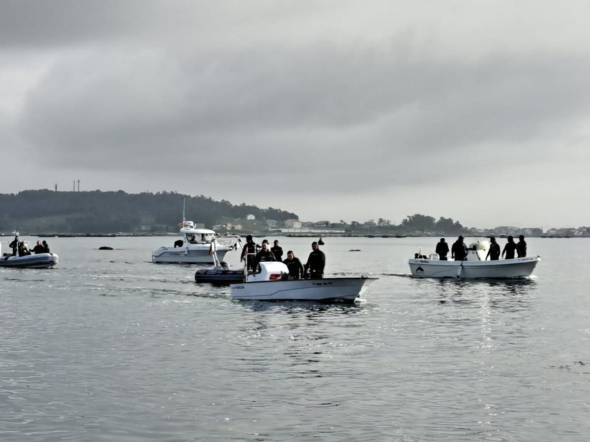 Participantes en la limpieza submarina de los fondos del islote Areoso. Participantes en la limpieza submarina de los fondos del islote Areoso.