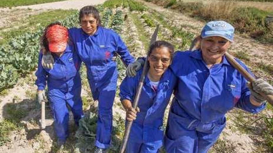 Solidaridad. 4.500 metros de parcela a coste cero