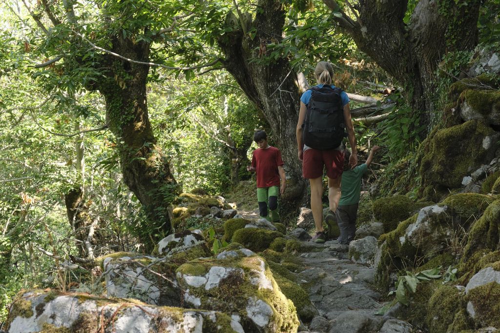 Trekking familiar por los senderos de los bosques gallegos