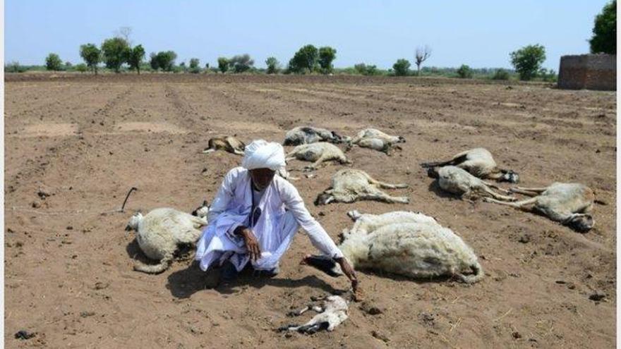 Mueren 61 personas por la ola de calor y la sequía que azotan a la India