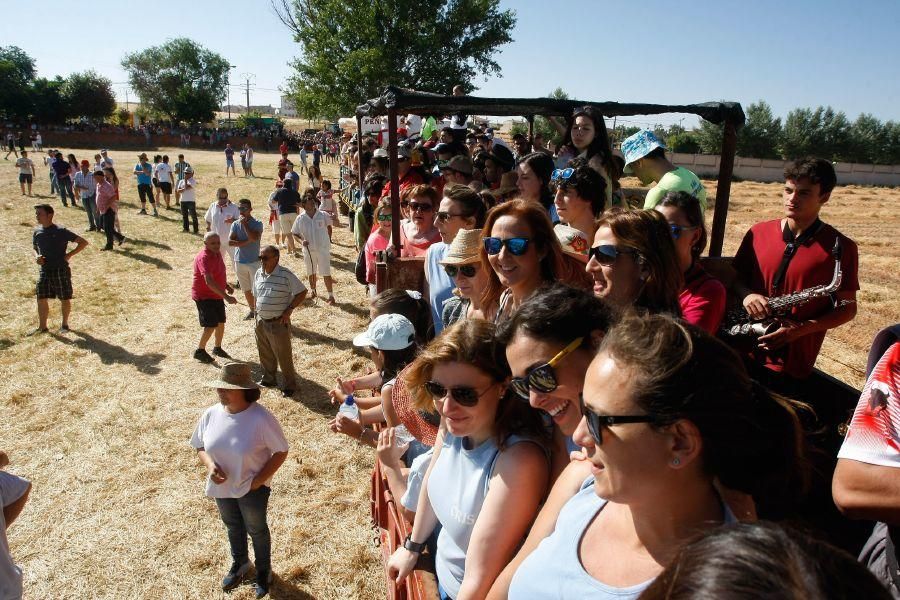 Fiestas en Zamora: Segudos espantes de Fuentesaúco