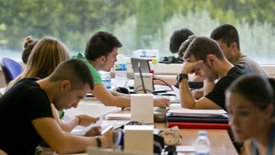 Un 32% de la población joven del Archipiélago tiene algún tipo de titulación universitaria
