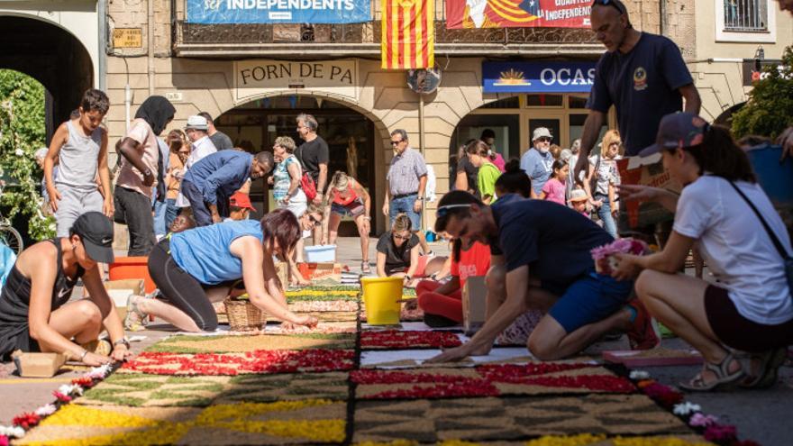 Concurs de catifes de flors naturals