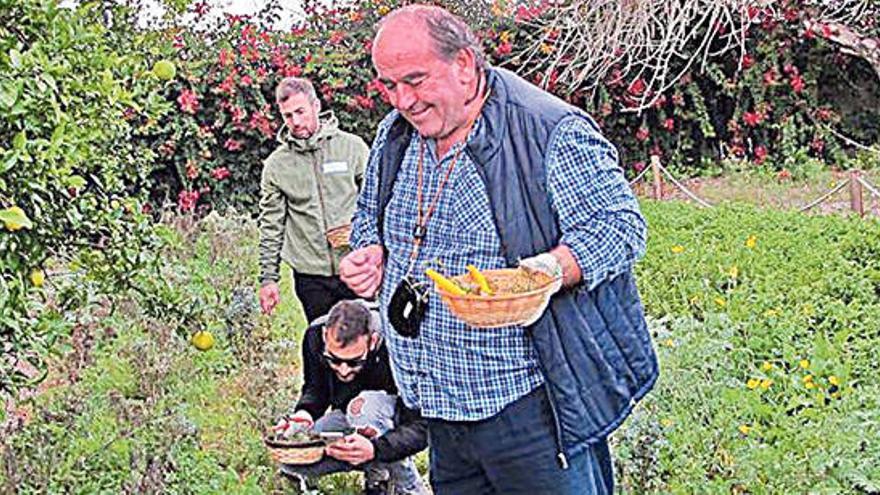 Joan Fluxà indica las hierbas a cortar en el huerto.