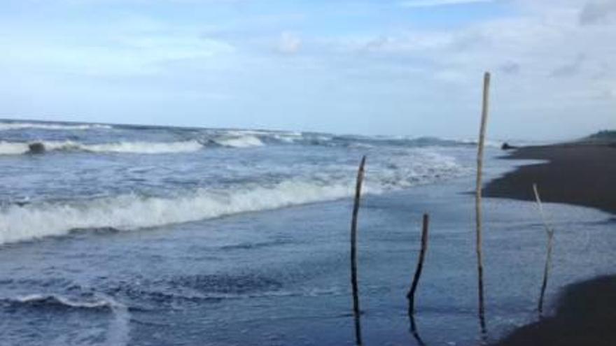 L&#039;àrea de Tortuguero, lloc on va ser assassinada la turista.