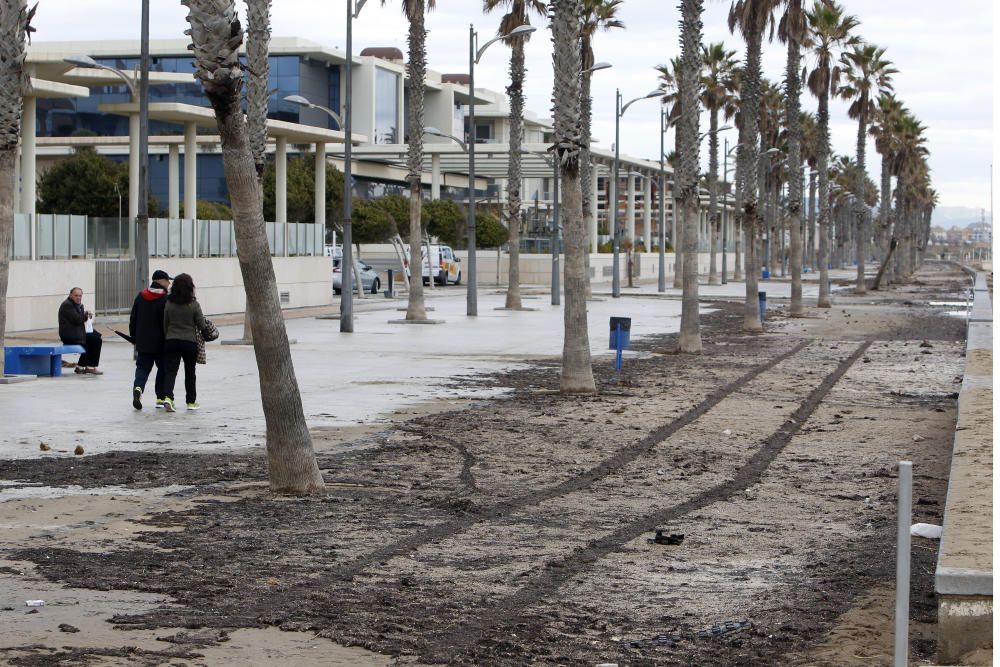 Destrozos en la playa de la Patacona