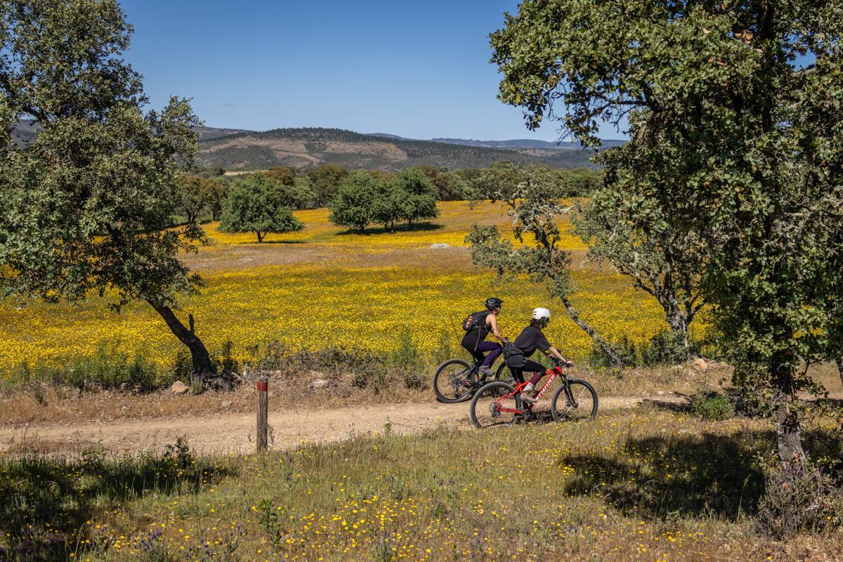 Proyecto Ciclosend_Sur_dos.