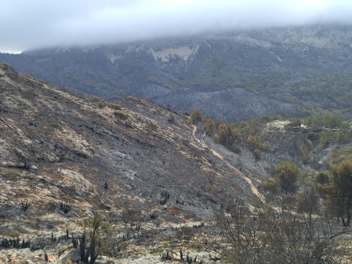 La destrucción del incendio de Tàrbena, en imágenes