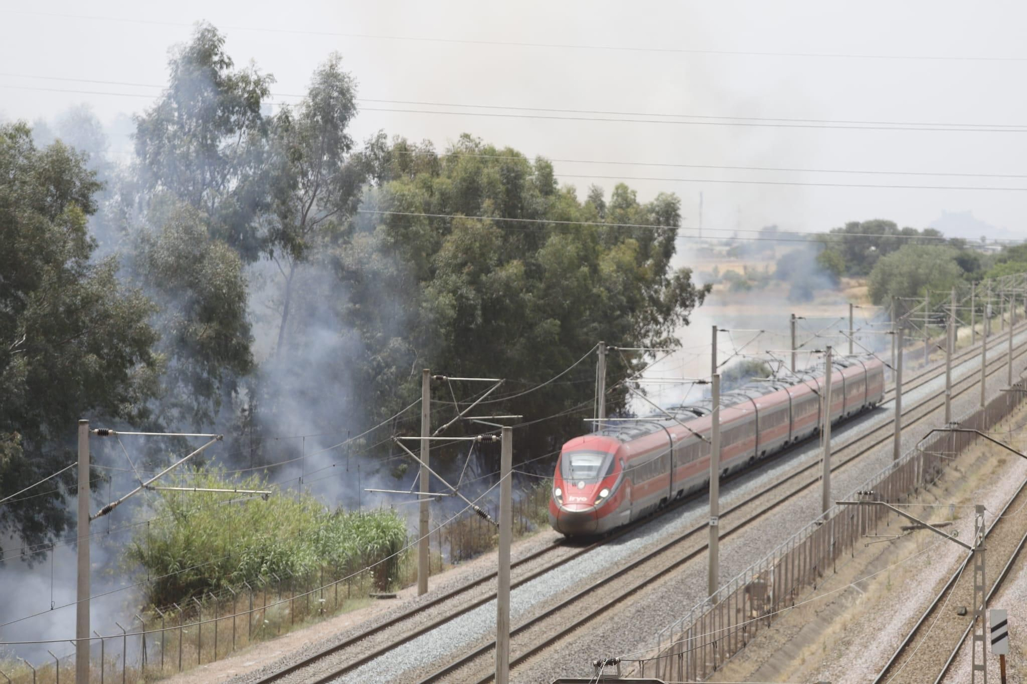 Un incendio de pastos junto al Parque Joyero moviliza a bomberos, Infoca y Policía Local