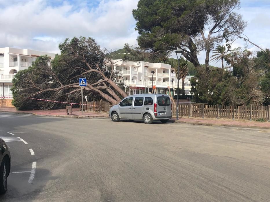 Temporal en Cala Llonga.