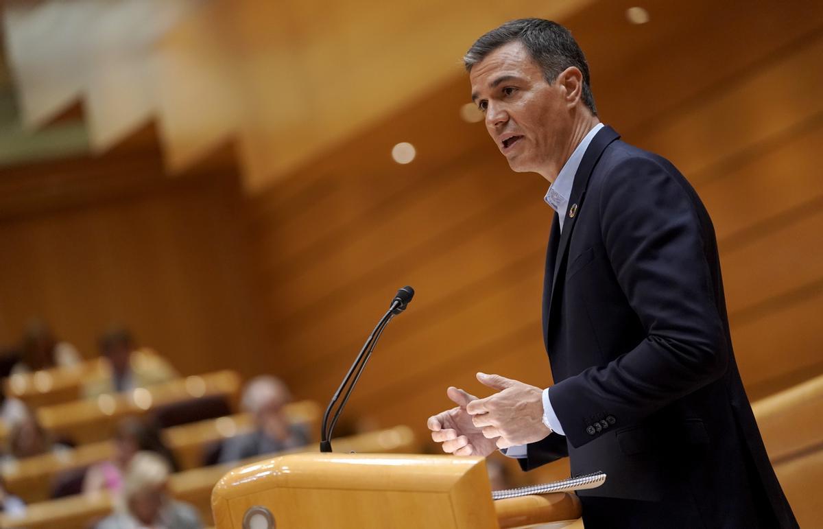 El presidente del Gobierno, Pedro Sánchez, ante el Pleno del Senado, para informar sobre el Plan de choque de ahorro y gestión energética en climatización y su perspectiva territorial. 