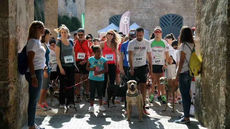 La Can Maratón da el pistoletazo de salida al festival Animal Party, que hoy continúa