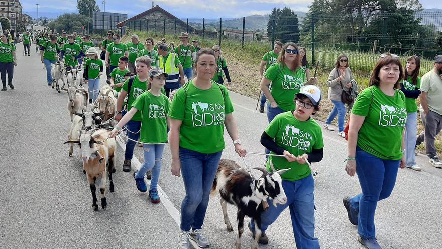 Así fue el espectacular desfile de San Isidro en Llanera con 900 animales en las calles