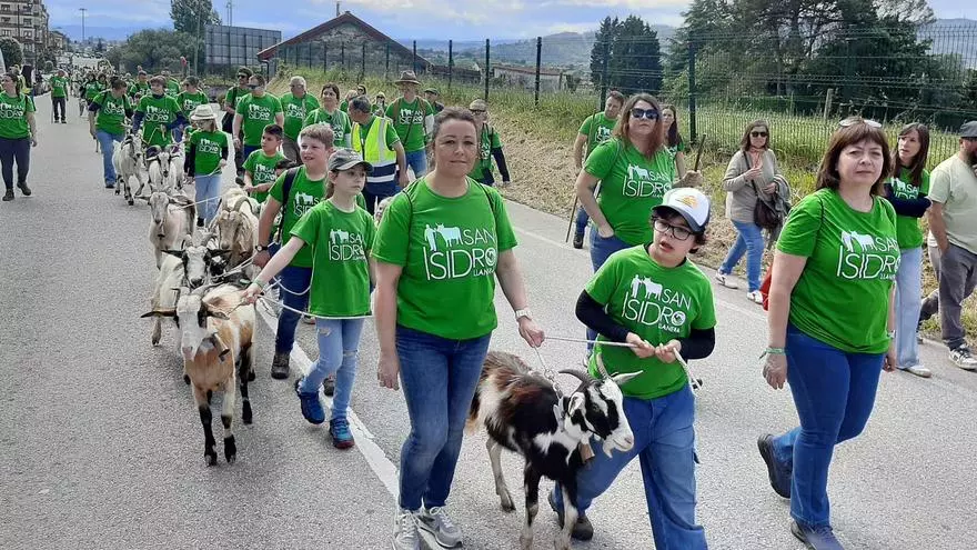 Así fue el espectacular desfile de San Isidro en Llanera con 900 animales en las calles
