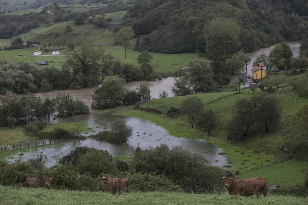 Temporal en Asturias: Las intensas lluvias dejan ríos desbordados y carreteras cortadas en el Oriente