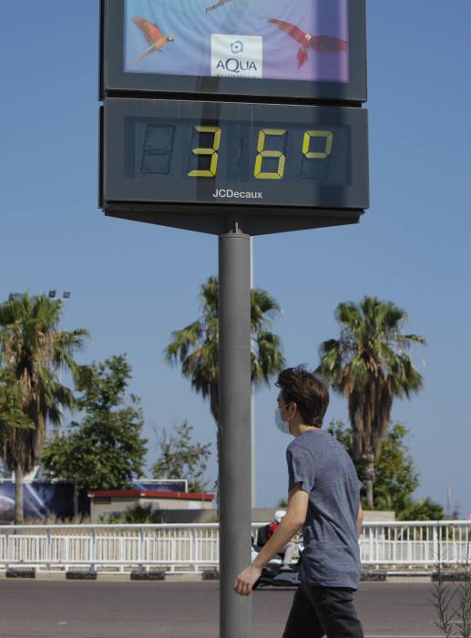 Parques y jardines para aliviar las altas temperat