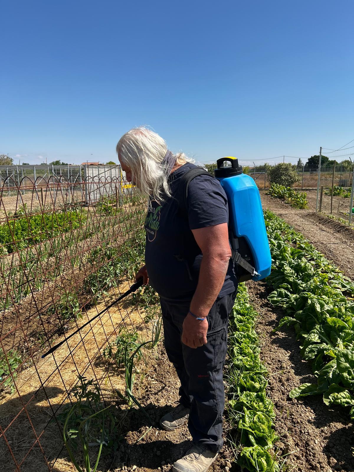 Juan Refofo trabjando en su huerto