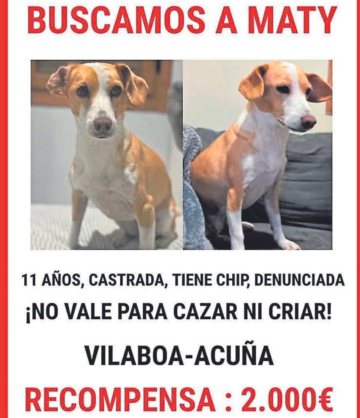 El cartel con la recompensa de 2.000 euros para encontrar a Maty.