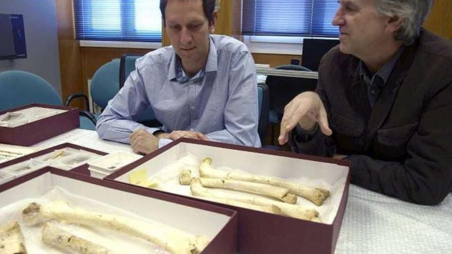 El ADN más antiguo, en Atapuerca