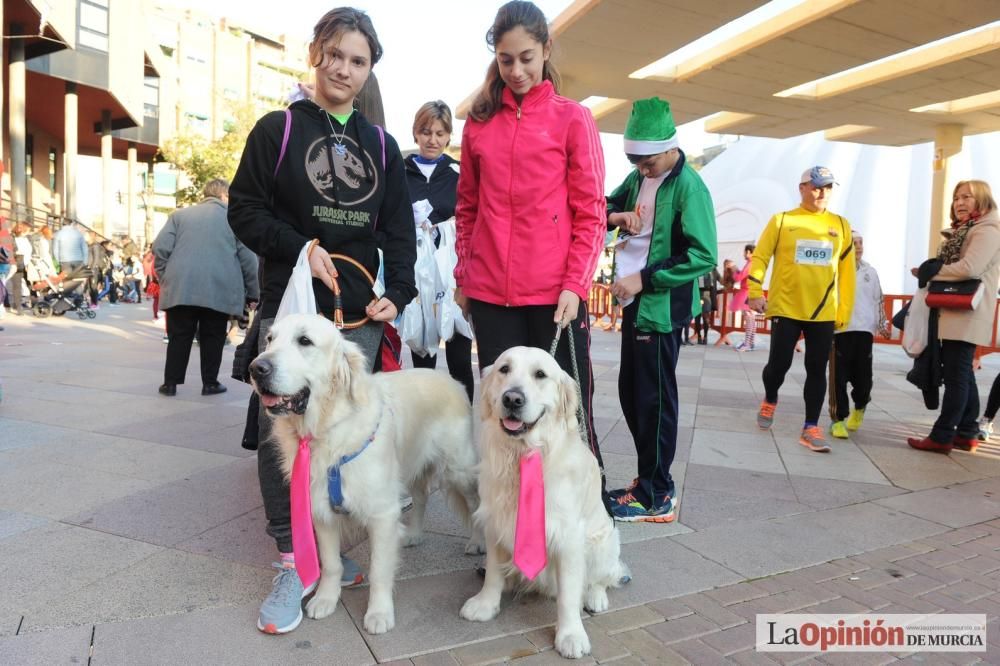 San Silvestre en Molina de Segura