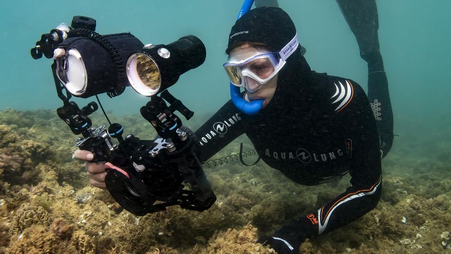 &quot;Empecé a hacer fotografía submarina el día que me cansé de esperar en la playa a mi pareja&quot;