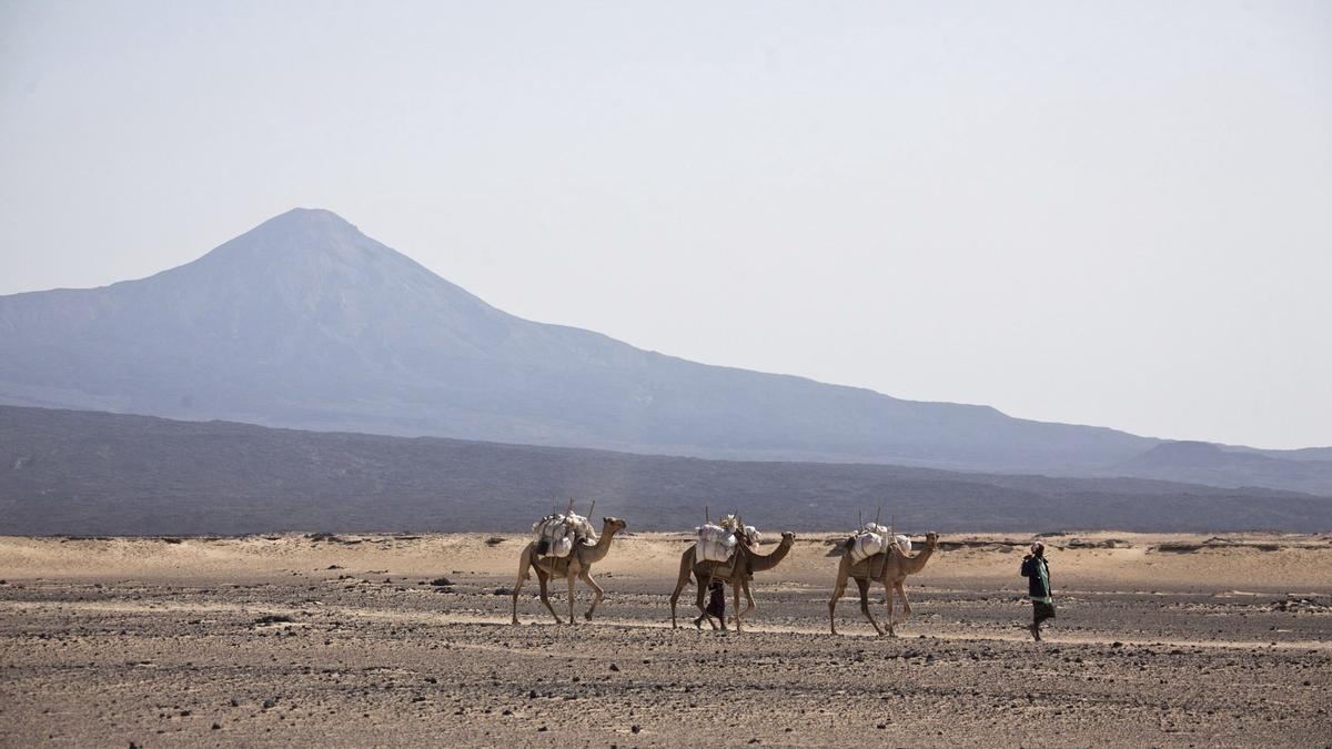 España busca coordinar con otras embajadas una salida a los turistas atrapados en Etiopía.