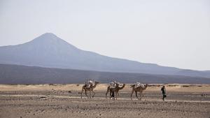 Fotografía de archivo fechada en 2011 de un camellero en el desierto de Danakil, cerca del volcán Erta Ale, en el norte de Etiopía. 