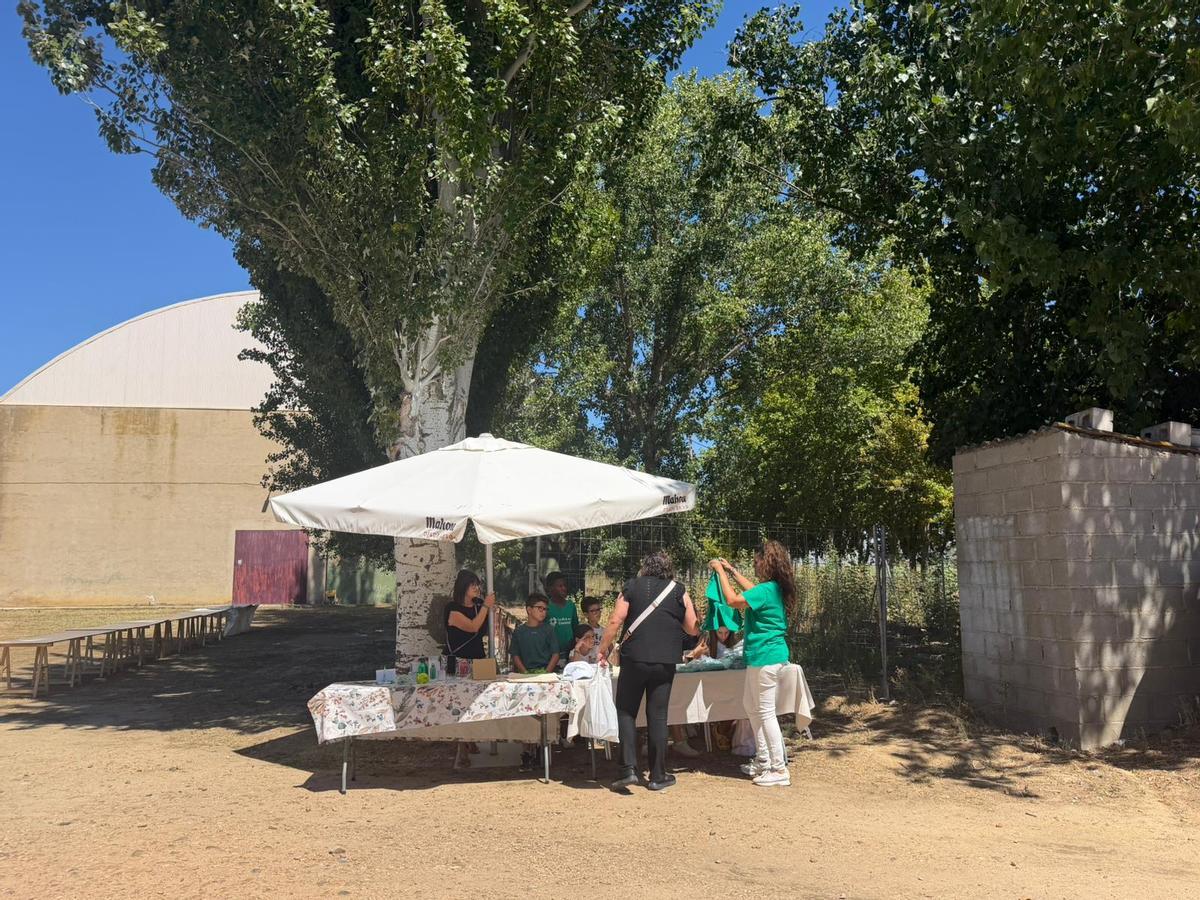 320 platos de arroz por Anastasio