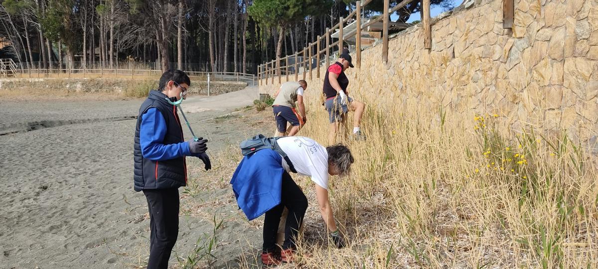 Voluntaris retirant brossa de la Farella, aquest diumenge