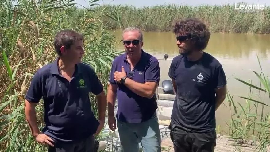 Investigadores de la UPV miden la profundidad de l'Albufera